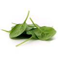 Air Dired Organic Spinach Powder in Bulk Supply